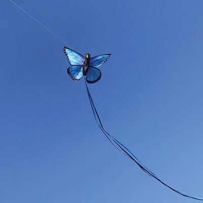 Blue Morpho Butterfly Kite soaring in the sky, featuring vibrant blue colors and a striking butterfly design, ready for outdoor fun.