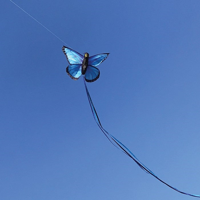 Blue Morpho Butterfly Kite soaring in the sky, featuring vibrant blue colors and a striking butterfly design, ready for outdoor fun.