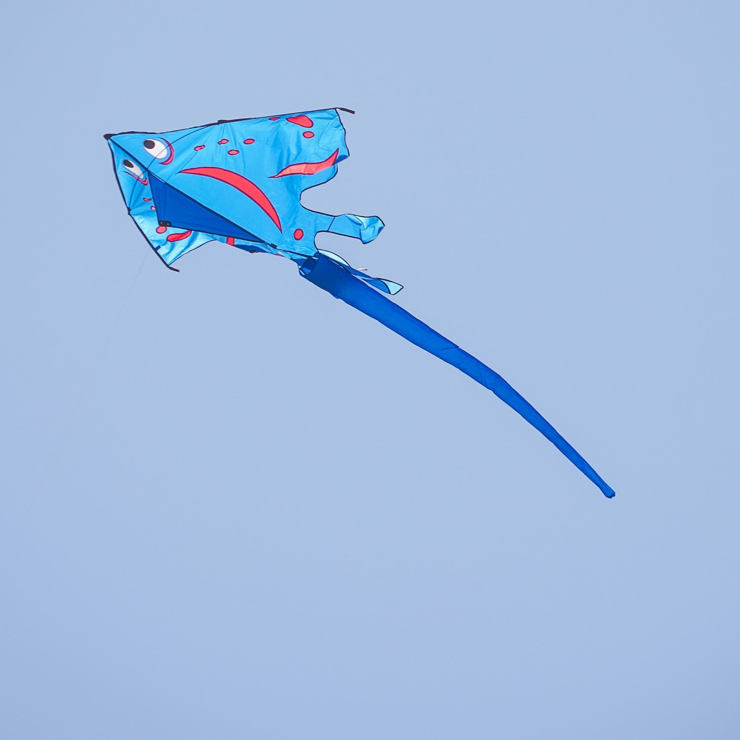 Blue Stingray Kite with vibrant applique design flying high in the sky, featuring a 6-foot wingspan and a sturdy tube tail for stability.