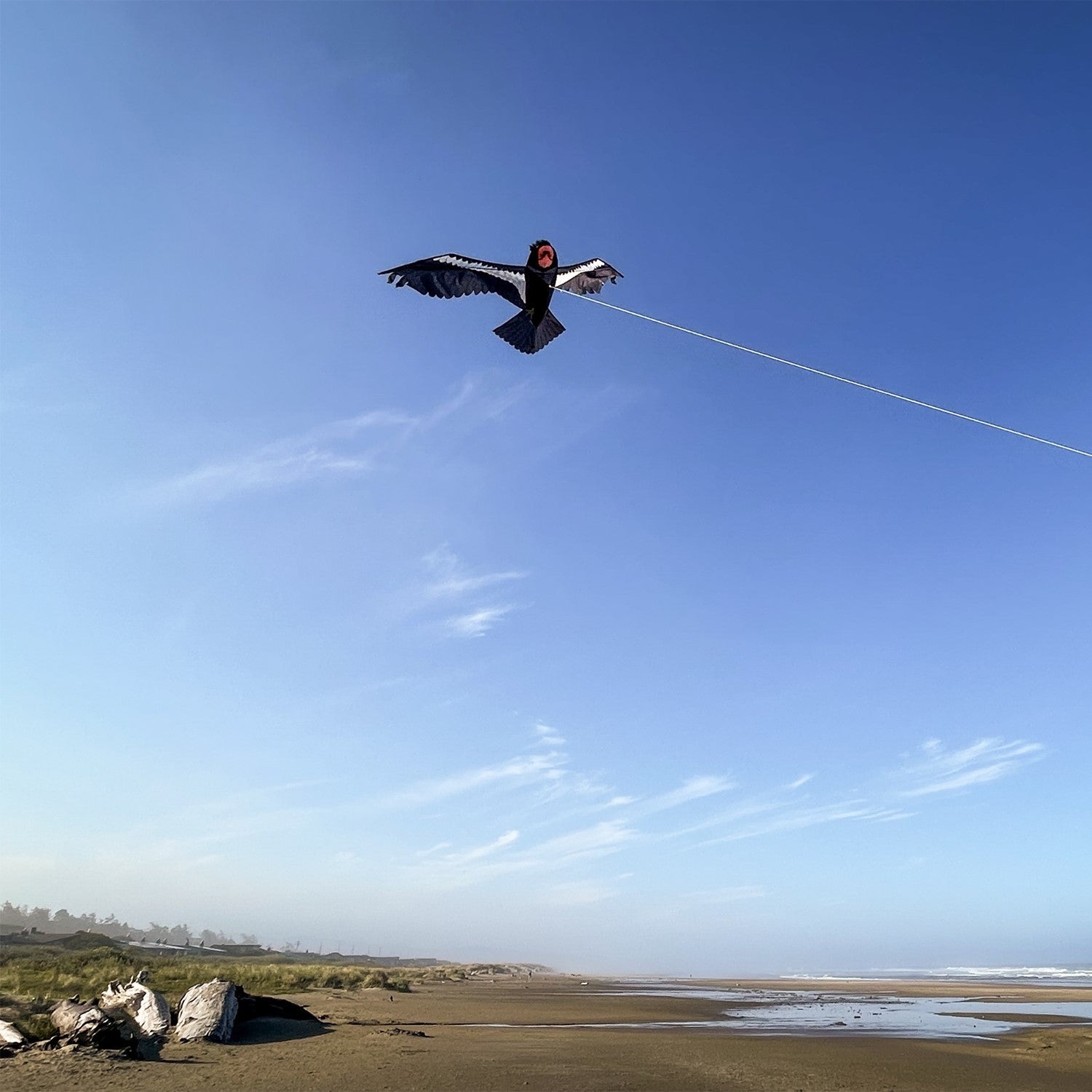 Realistic 84-inch California condor kite soaring in clear blue sky, showcasing detailed wings and applique talons against a backdrop of nature.