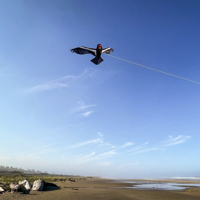 Realistic 84-inch California condor kite soaring in clear blue sky, showcasing detailed wings and applique talons against a backdrop of nature.