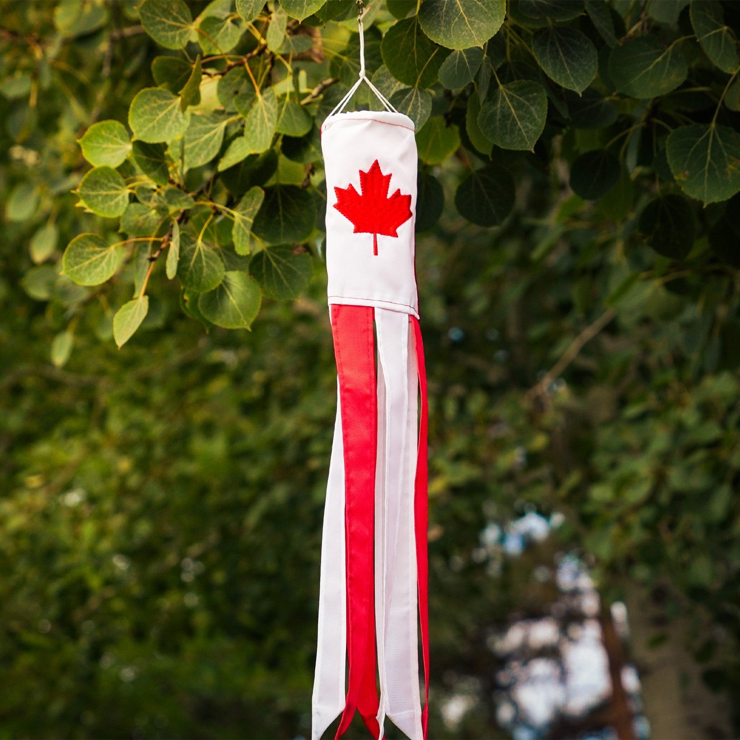 Canada 18-inch windsock displaying a bright maple leaf design, fluttering in the breeze outdoors with six colorful tails.