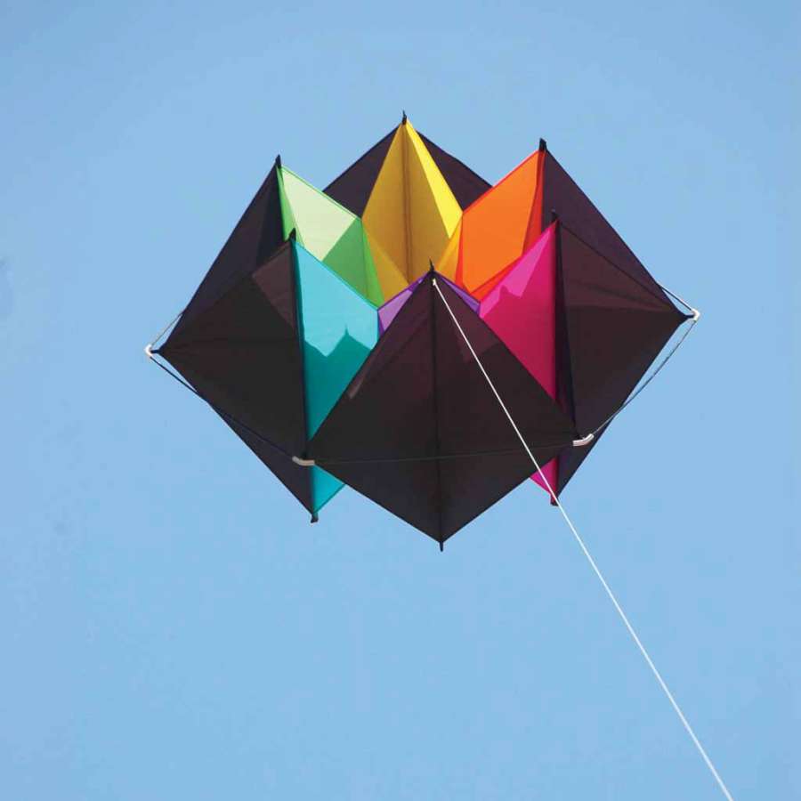 Clarke's Crystal Box Kite, featuring a vibrant design and box cellular structure, soaring against a clear blue sky during a family outing.