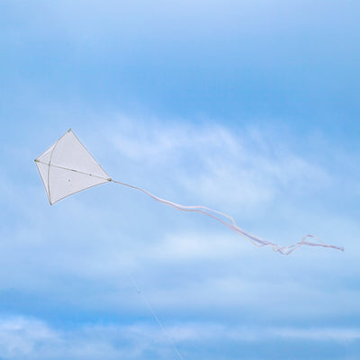 Coconut Colorfly 30-inch diamond kite in solid white color with colorful tails displayed against a clear blue sky on a sunny day.