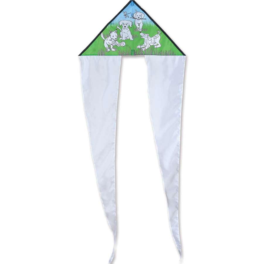 Coloring Kite for dogs, measuring 24.5 x 61 inches, displayed in a colorful outdoor setting with custom designs visible.