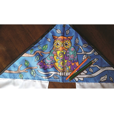 Coloring Kite - Owl with pre-printed design, colorful and ready for flight outdoors, showcasing a fun artistic activity.