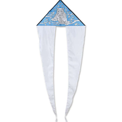 Coloring Kite - Owl with pre-printed design, colorful and ready for flight outdoors, showcasing a fun artistic activity.