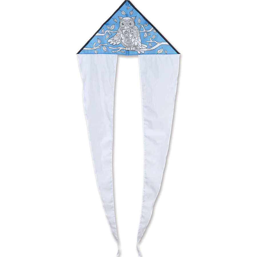 Coloring Kite - Owl with pre-printed design, colorful and ready for flight outdoors, showcasing a fun artistic activity.