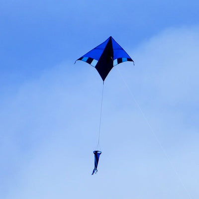 Cool Breeze 60" Delta kite soaring high in the sky with colorful twisting windsock, featuring a vivid design and stable delta shape against a clear blue backdrop.