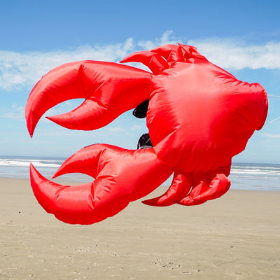 Crab Big Breeze WindsockTM in colorful 3D design swaying in the wind, showcasing inflatable legs and claws, perfect for outdoor decoration.