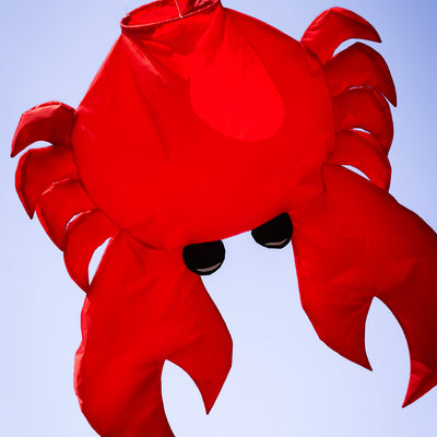 Crab Big Breeze WindsockTM in colorful 3D design swaying in the wind, showcasing inflatable legs and claws, perfect for outdoor decoration.