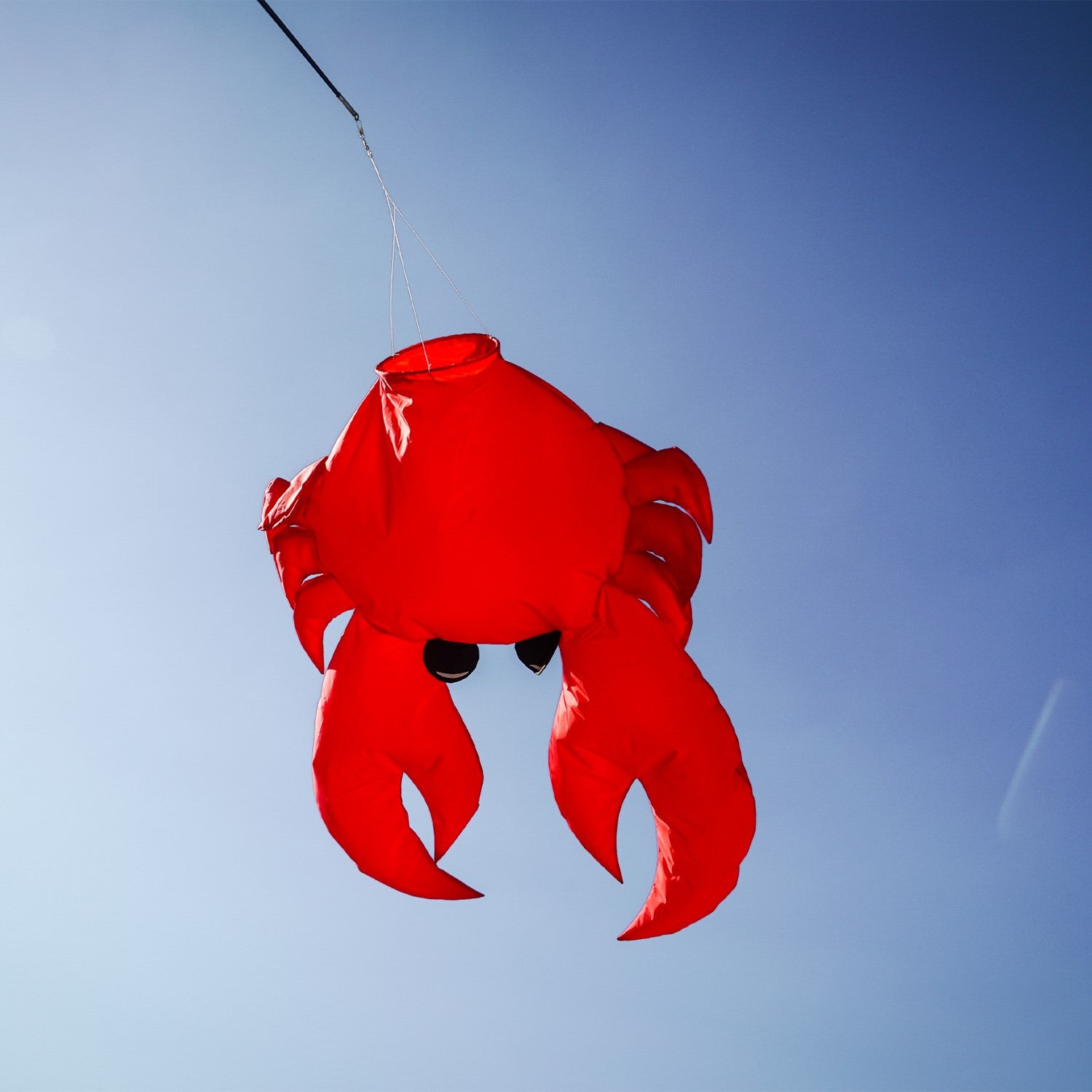 Crab Big Breeze WindsockTM in colorful 3D design swaying in the wind, showcasing inflatable legs and claws, perfect for outdoor decoration.