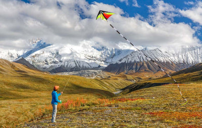 Black & White Tube Tail with high-contrast inflating design and smooth tubular motion for clean, dramatic kite displays.