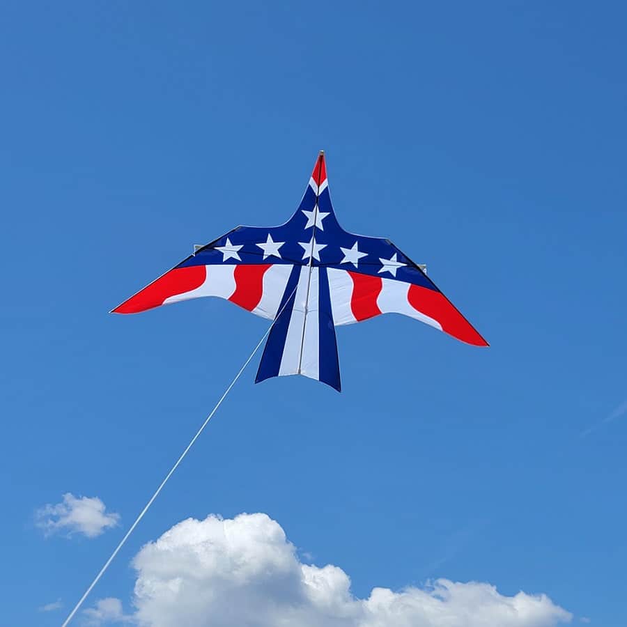 16 foot Thunderbird kite with red, white, and blue stars-and-stripes design, massive wingspan, and stable flight. Includes line and handle.