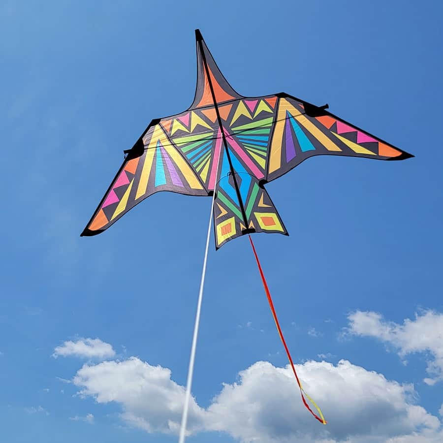 16 foot Thunderbird kite with bold rainbow geometric pattern, massive wingspan, strong flight, and line included for epic outdoor flying.