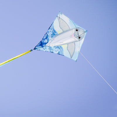 Dolphin 30 inch Diamond Kite soaring in the sky featuring a bright dolphin design, three color-coordinated tails stretching behind it.
