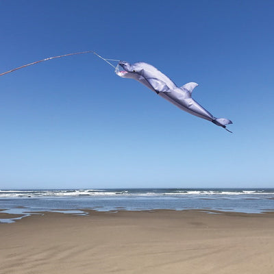 Dolphin 48 inch Fish Windsock with realistic design, perfect for outdoor coastal decor or gifting to ocean lovers.
