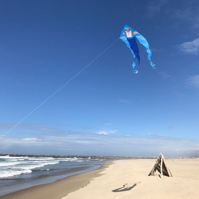Dolphin 52" Wave Delta Kite flying high with colorful dolphin design and long tails against a clear blue sky.