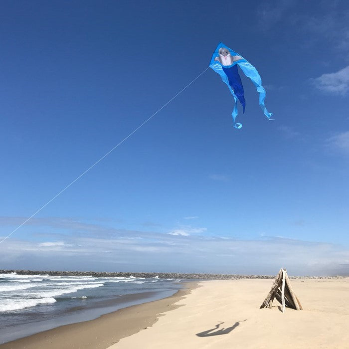 Dolphin 52" Wave Delta Kite flying high with colorful dolphin design and long tails against a clear blue sky.