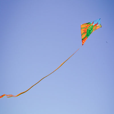 Dragon 30 inch diamond kite with colorful dragon design soaring in clear blue sky, featuring three long tails for stability.