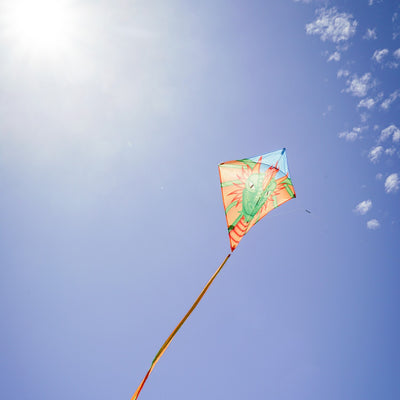 Dragon 30 inch diamond kite with colorful dragon design soaring in clear blue sky, featuring three long tails for stability.