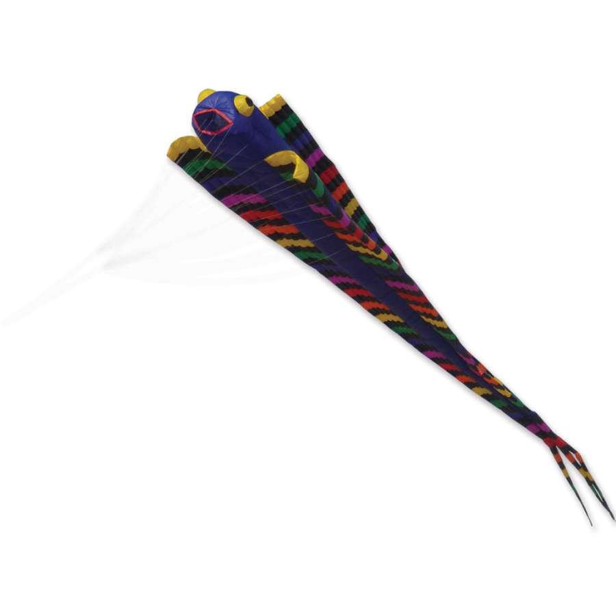 Giant Eel Kite in rainbow colors soaring in a clear blue sky, measuring 48 ft. 9 in., designed for outdoor enjoyment and family fun.