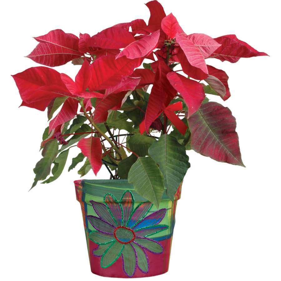 Glitter Floral Flower Pot Cover expertly fitted onto a white plastic pot, showcasing vibrant floral designs and shimmering glitter.