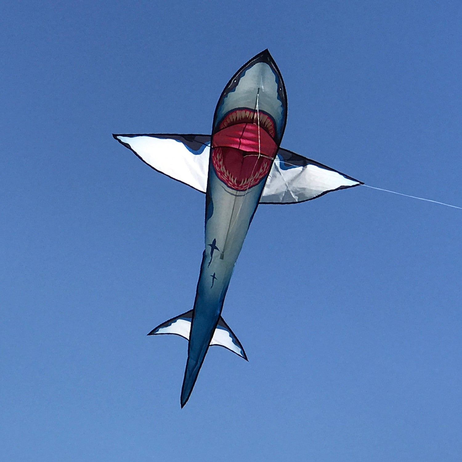 A vibrant 7.5' Great White 3D Shark Kite soaring in a blue sky, showcasing its detailed design and realistic movement, perfect for outdoor fun.