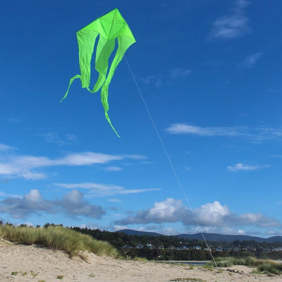 Green 77\" Wave Delta Kite flying against a clear sky, featuring long, flowing tails that dance elegantly in the wind.