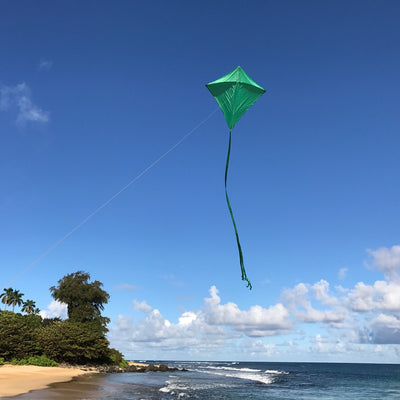 Green Colorfly 30-inch Diamond Kite with three color-coordinated tails soaring against a blue sky, perfect for outdoor family enjoyment.