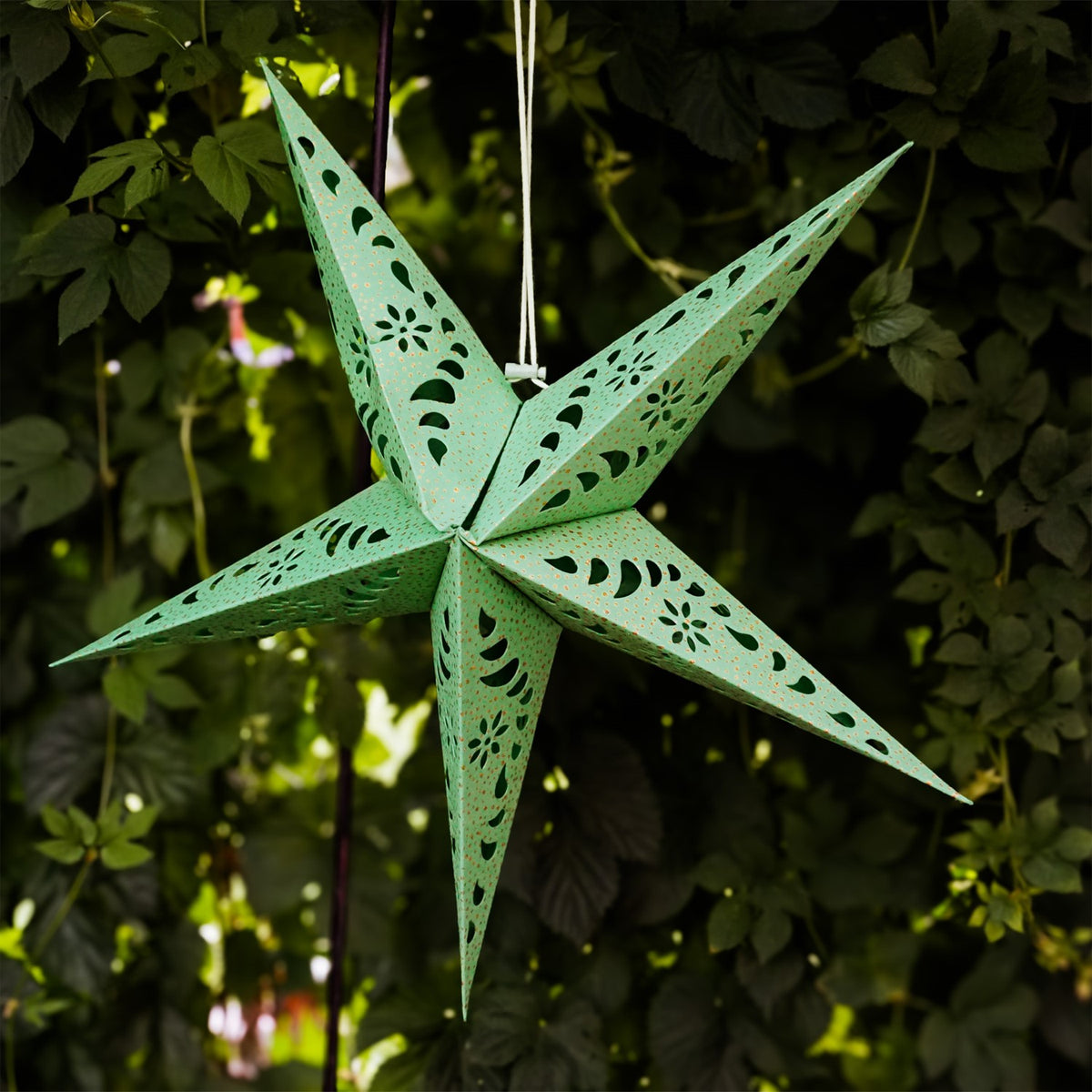 Green Paper Star Lantern with intricate cutouts and gold accents hanging indoors, designed for soft, ambient lighting and decorative appeal.