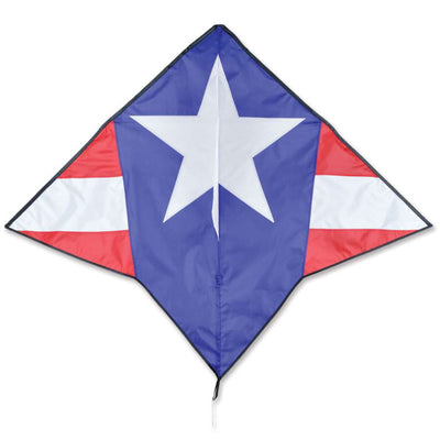 Gyro Delta Kite in patriotic colors flying in the sky accompanied by a colorful spinning windsock, measuring 58x44 inches.
