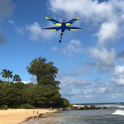 Vibrant Harmony Dragonfly Kite soaring through a clear blue sky, showcasing intricate details and fluttering wings in the wind.