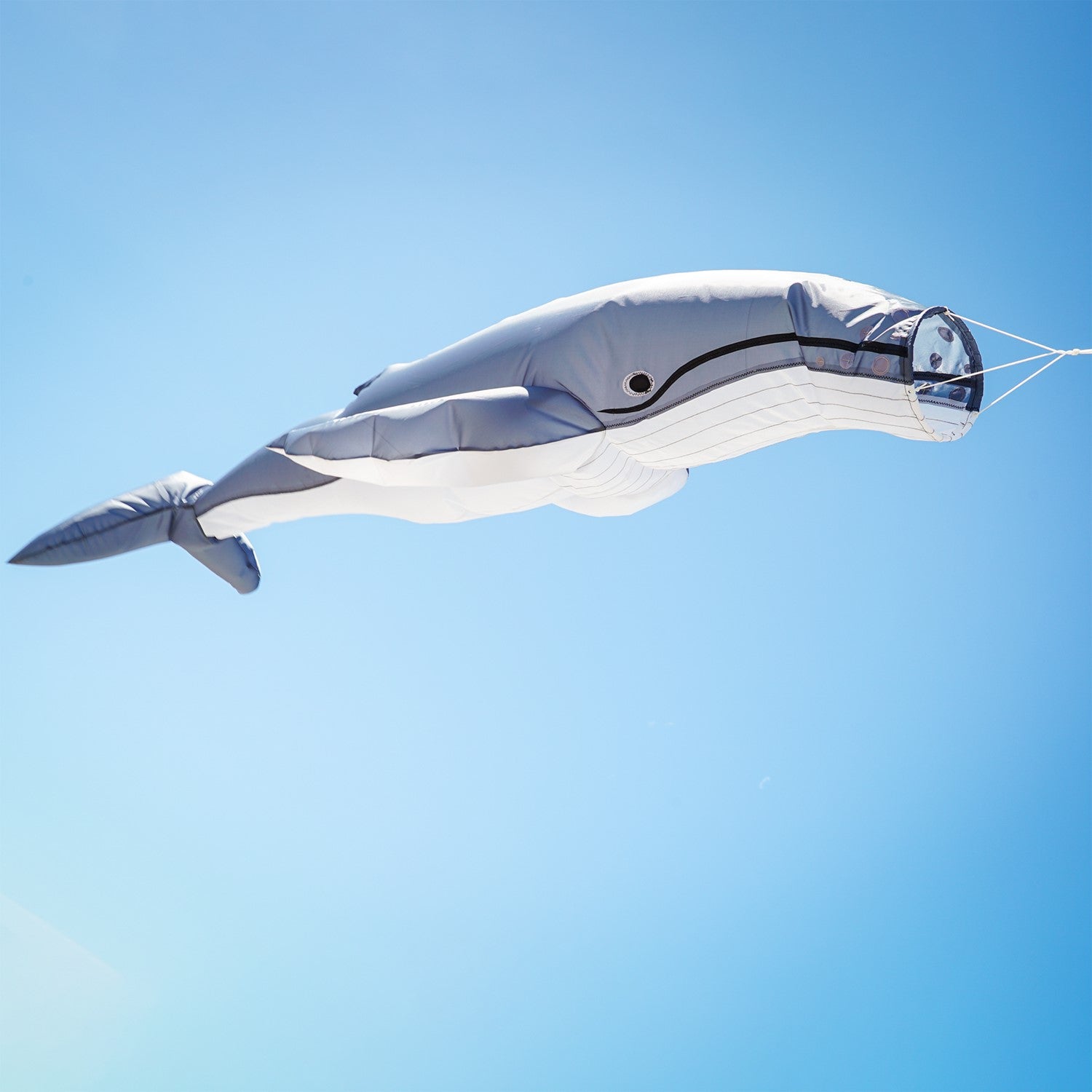 Humpback Big Breeze WindsockTM in a vibrant 3D design displayed in an outdoor garden, showcasing a whale in motion against the breeze.