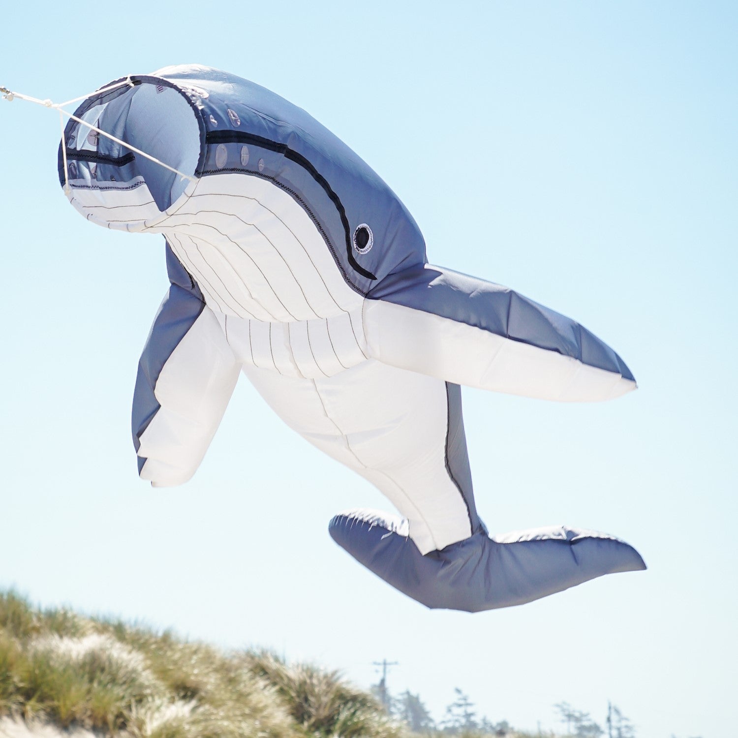 Humpback Big Breeze WindsockTM in a vibrant 3D design displayed in an outdoor garden, showcasing a whale in motion against the breeze.