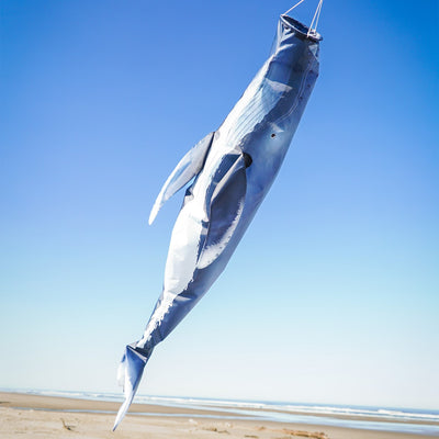 Humpback Whale 48-Inch Fish Windsock with detailed printing, inflating in the wind, hanging against an outdoor backdrop.