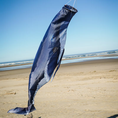 Humpback Whale 48-Inch Fish Windsock with detailed printing, inflating in the wind, hanging against an outdoor backdrop.