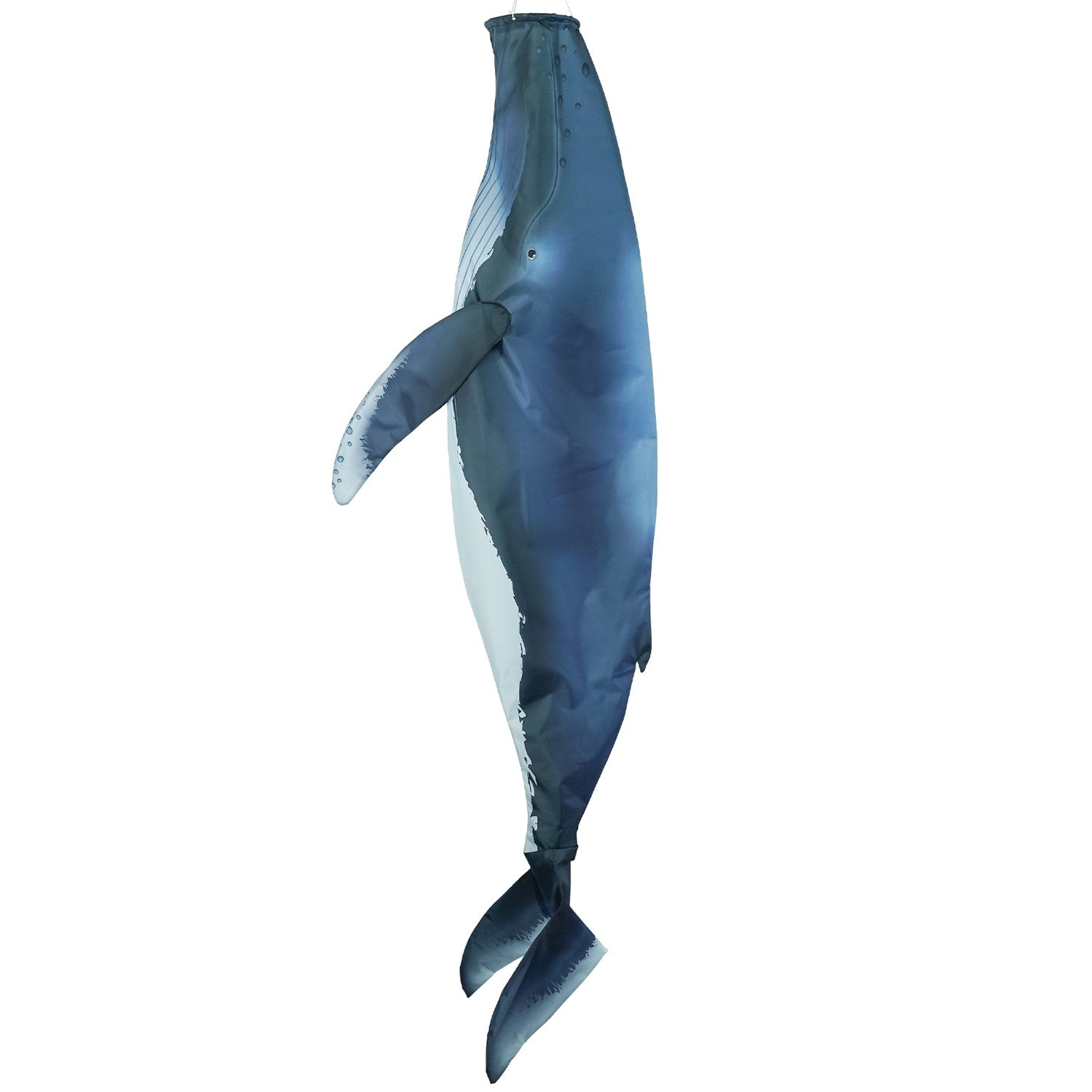 Humpback Whale 48-Inch Fish Windsock with detailed printing, inflating in the wind, hanging against an outdoor backdrop.