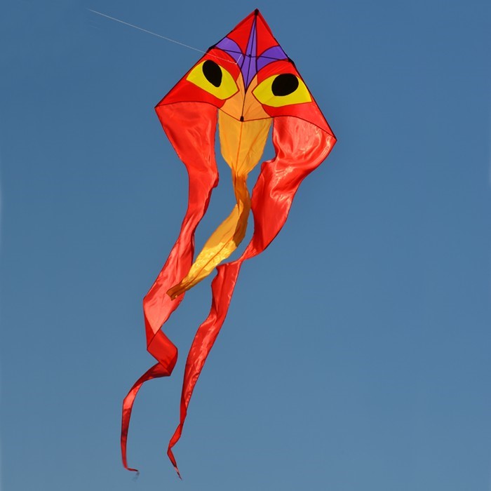 Experience the incredible Ibis 52" Wave Delta Kite-vibrant, weather-resistant, and designed for generations of outdoor fun. Your sky awaits!