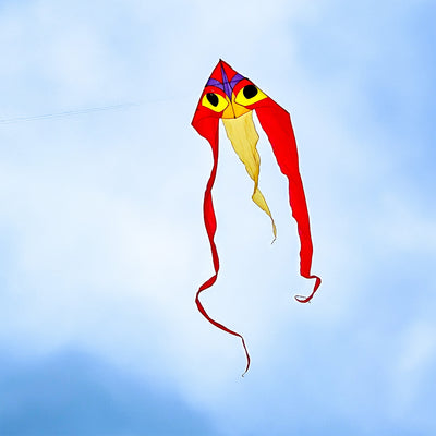 Experience the incredible Ibis 52" Wave Delta Kite-vibrant, weather-resistant, and designed for generations of outdoor fun. Your sky awaits!