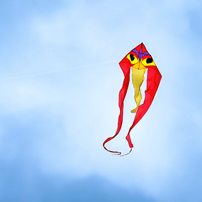 Experience the incredible Ibis 52" Wave Delta Kite-vibrant, weather-resistant, and designed for generations of outdoor fun. Your sky awaits!