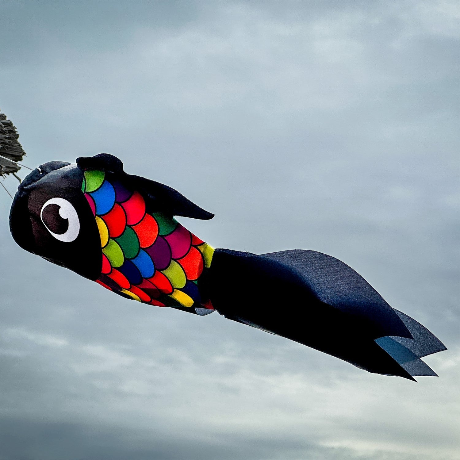 Alt Text: 15-inch Black & Rainbow Damsel Fish windsock fluttering gently in the breeze, showcasing vibrant colors and playful design.