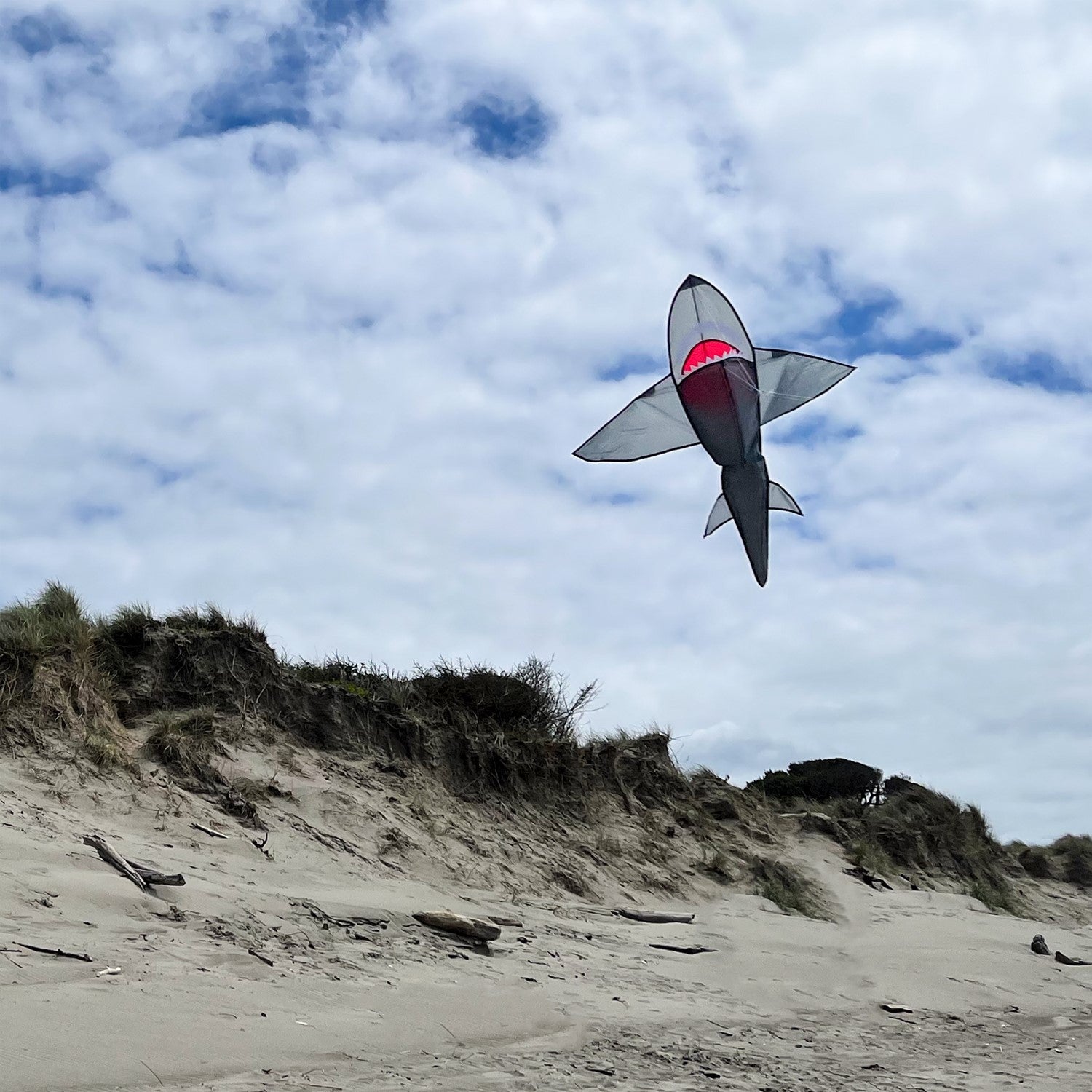 Alt text: "5' 3D Grey Shark Kite soaring in a blue sky, showcasing its 3D design, vibrant colors, and realistic shark features.