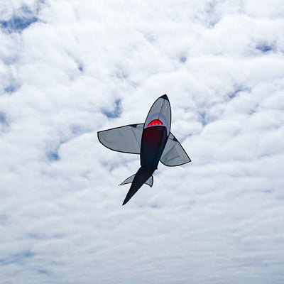 Alt text: "5' 3D Grey Shark Kite soaring in a blue sky, showcasing its 3D design, vibrant colors, and realistic shark features.