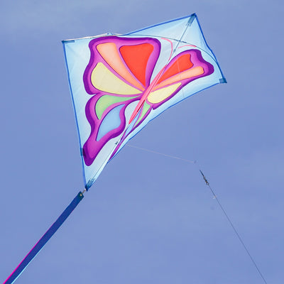 Alt text: Butterfly 30" Diamond Kite with vibrant butterfly prints and three color-coordinated tails being flown in a park setting.