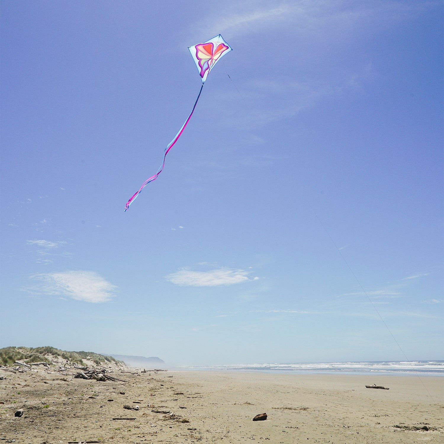Alt text: Butterfly 30" Diamond Kite with vibrant butterfly prints and three color-coordinated tails being flown in a park setting.