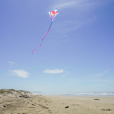 Alt text: Butterfly 30" Diamond Kite with vibrant butterfly prints and three color-coordinated tails being flown in a park setting.