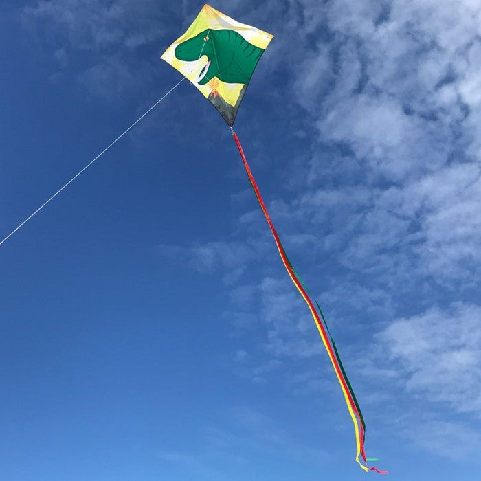 Alt Text: "Dinosaur 30-inch diamond kite with vibrant design and tails, flying in a clear blue sky on a sunny day, ready for outdoor fun.