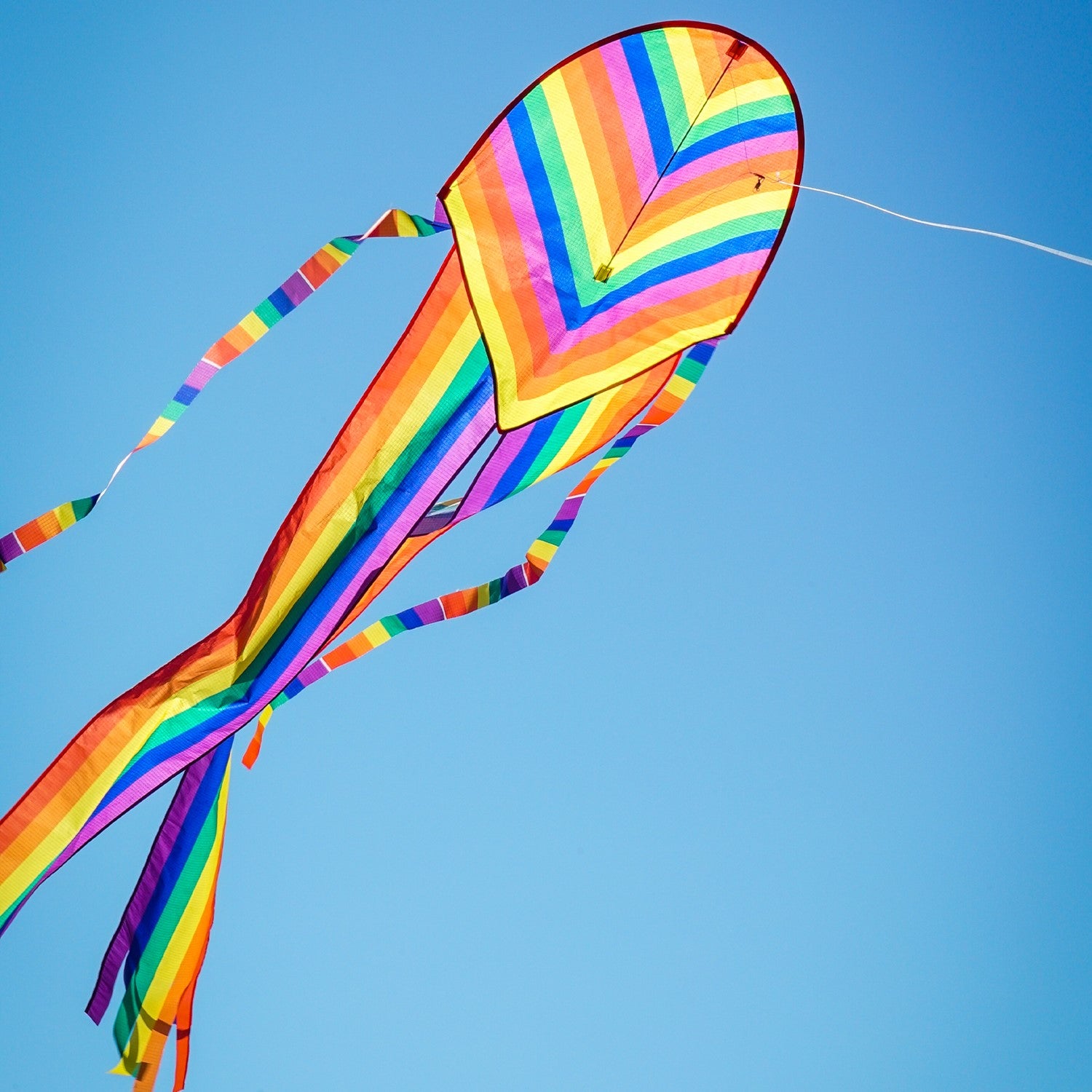Alt text: "22-inch Rainbow Stripe Dancing Dragon Kite, featuring colorful tails and ripstop fabric, soaring in a sunny sky.
