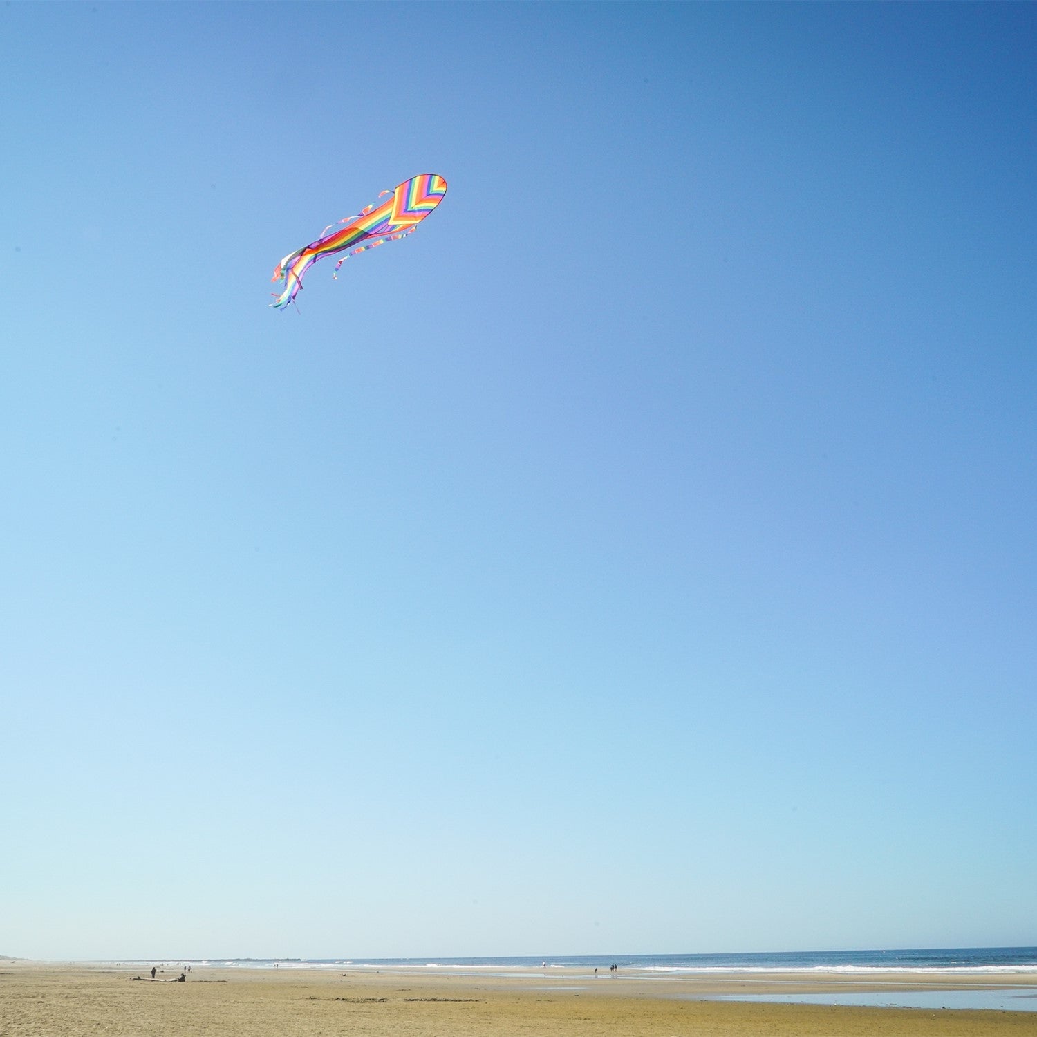 Alt text: "22-inch Rainbow Stripe Dancing Dragon Kite, featuring colorful tails and ripstop fabric, soaring in a sunny sky.